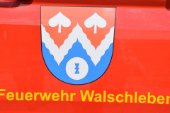 299811331_526460082611445_2361160579000237176_n